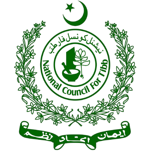 🌟 11.11 Mega Sale: Buy 2, Get 1 FREE!