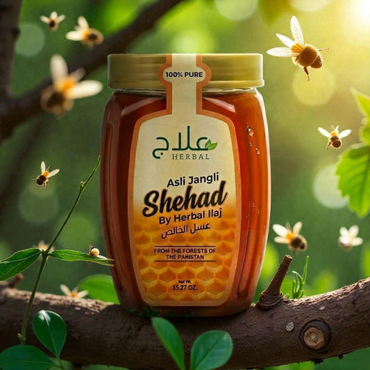 Pure Wild Forest Honey Big Bee / جنگلی شہد بڑی مکھی